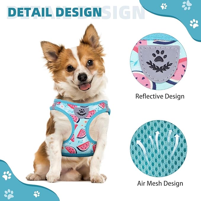 KOOLTAIL Dog Harness and Leash Set for Small Medium Dogs, Step in No Pull Soft Mesh Dog Harness Comfort Padded Pet Vest, Adjustable Reflective Easy Walking Puppy Cats Harness Training, Watermelon XS