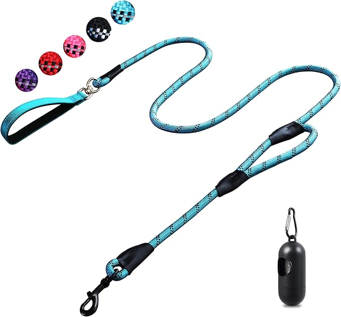 Dog Leash, 6 Foot Dog Leash, 2 Extra Padded Handles, Lockable Metal Carabiner Clip, Reflective No Pull Heavy Duty Rope Lead, Walking, Training, Running, Medium to Large Breeds（Blue）