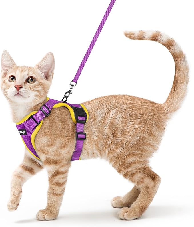 rabbitgoo Cat Harness and Leash for Walking, Escape Proof Soft Adjustable Vest Harnesses for Cats, Easy Control Breathable Reflective Strips Jacket, Purple&Yellow,XS