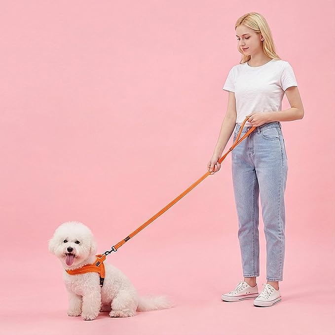 Didog Soft Flannel Padded Dog Vest Harness, No Pull/Quick Fit Reflective Dog Strap Harness, Easy for Training Walking (XS:Chest 15-18", Orange)