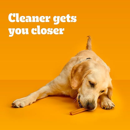 Pedigree Dentastix Large Breed Dog Treats, Original Flavor, 1.66 lb. Bag (32 Treats)