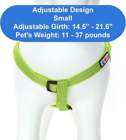 Pawtitas Reflective Step-in Dog Harness – Adjustable No-Pull Vest for Puppies to Seniors, Safe & Comfortable, S Green