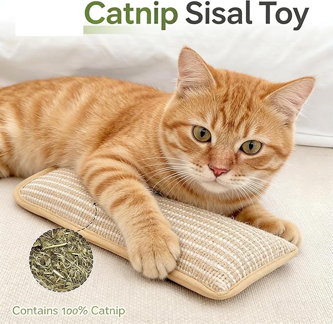 Interactive Catnip Chew Toy, Sisal Catnip Pillow Toy Kickers, Catnip Toys with Organic 8000mg Herbal Blend for Indoor Scratching, Chewing & Teething, Fun for Kittens and Adult Cats(3PCS)