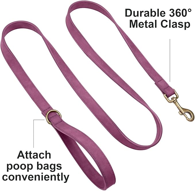Didog Stylish PU Leather Dog Leashes for Medium Dogs, Easy to Clean 5ft Dog Leashes for Large Dogs, Fashionable and Elegant for Walking, Running and Training,Purple, M
