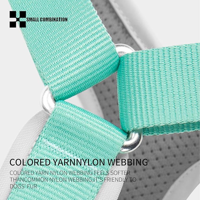 Adjustable Dog Harness with Handle, Padded Comfort,Small, Medium and Large Dogs (Aqua Green, XL)