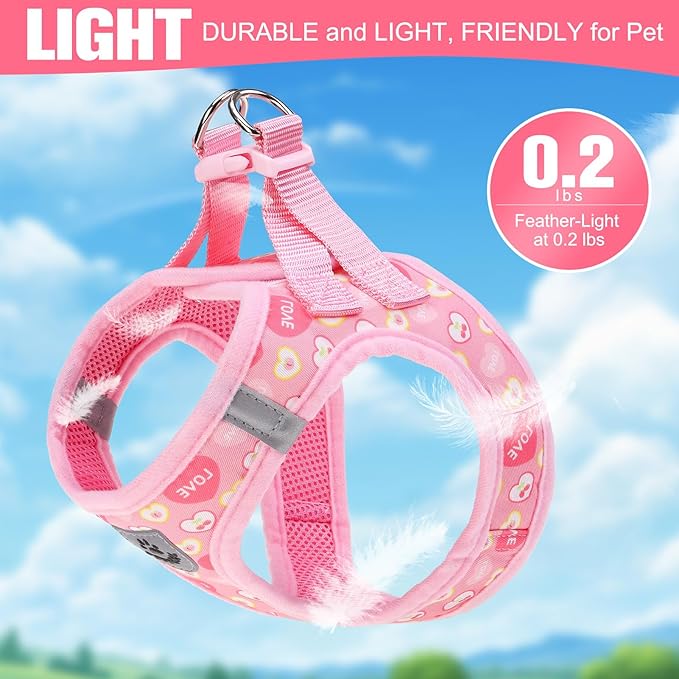 EXPAWLORER Small Dog Valentines Harness and Leash Set - Cute Puppy Harness Leash Dog Collar with AirTag Holder Silicone Case, Soft Padded Step in Pet Vest Reflective for Outdoor Walking, Heart M