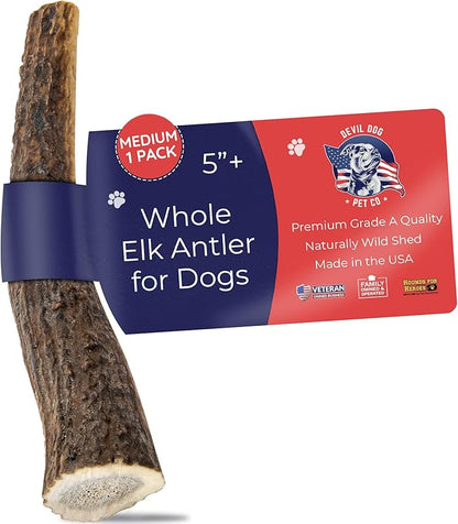 Devil Dog Pet Co. Elk Antlers for Dogs, Medium 5"+, 1 Pack, Grade A Long Lasting Chew for Aggressive Chewers, Premium USA Naturally Shed Antler – Healthy, No Odor, Durable Dog Chew