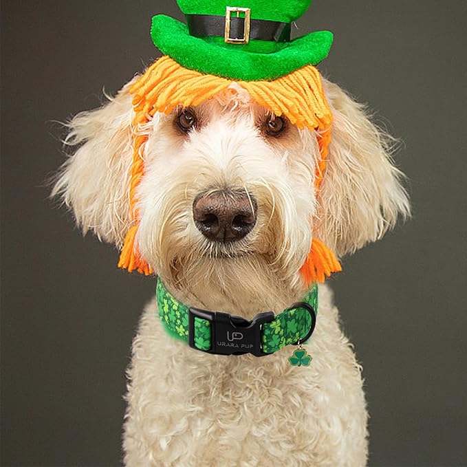 St. Patrick's Dog Collar, Lucky Clover Pet Collar with Quick Release, Comfortable Adjustable Shamrock Puppy Collar for Small Medium & Large Dogs