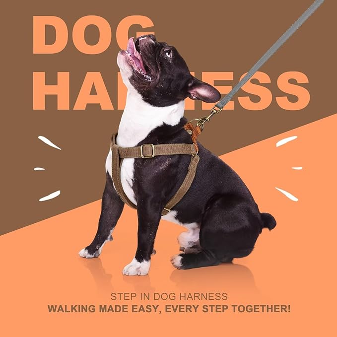 Didog Step in Dog Harness with Metal Buckles, Freedom Nylon Dog Halter Vests for Medium Dogs Easy Walking Training(M:Chest 19-28", Brown)