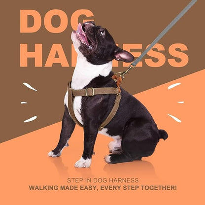 Didog Step in Dog Harness with Metal Buckles, Freedom Nylon Dog Halter Vests for Medium Dogs Easy Walking Training(M:Chest 19-28", Brown)