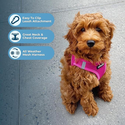 Best Pet Supplies Voyager Step-in Air Harness - All Weather Mesh, Reflective, No Pull Harness for Dogs, Cats - Secure with Hook & Loop Fastener, Buckle, Double D-Rings - Fuchsia, XL