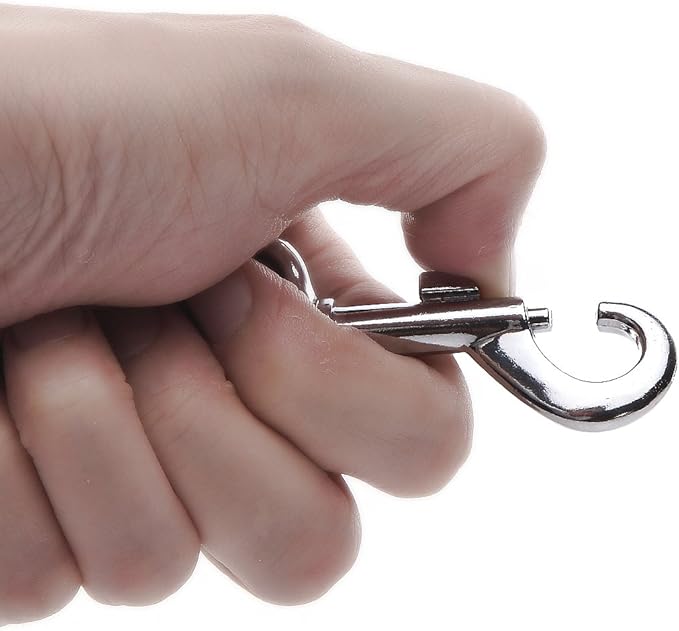 Nylon Dog Leash 12 Feet Long, Walking Training Dog Leashes for Medium Large Dogs(1" X 12 ft, Black)