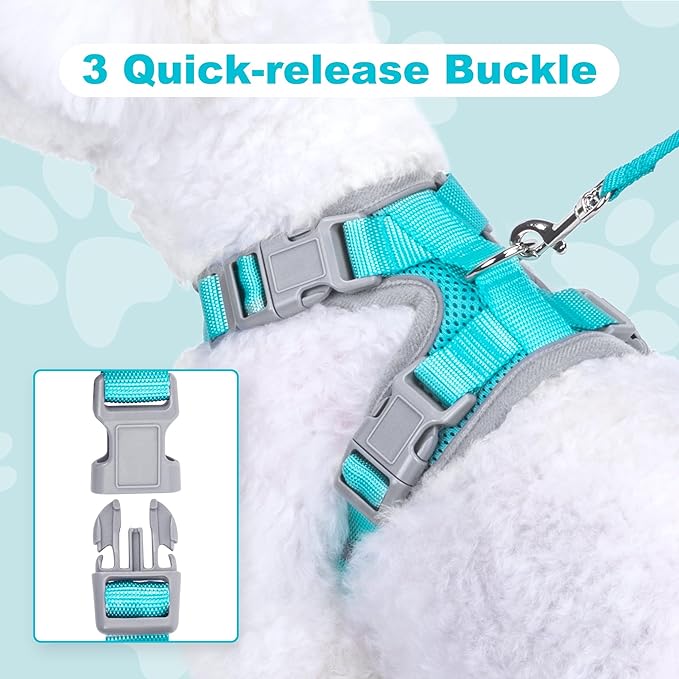 Small Dog Harness and Leash Set，No Pull Adjustable Pet Harness for Small Dogs ，Breathable Mesh Reflective Dog Vest Harness (Turquoise, XS)