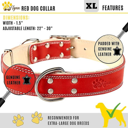 ADITYNA Heavy-Duty Leather Dog Collar for Extra-Large Dogs - Soft Padded for Comfort - XL Dog Collar for Walking, Training, and Hiking