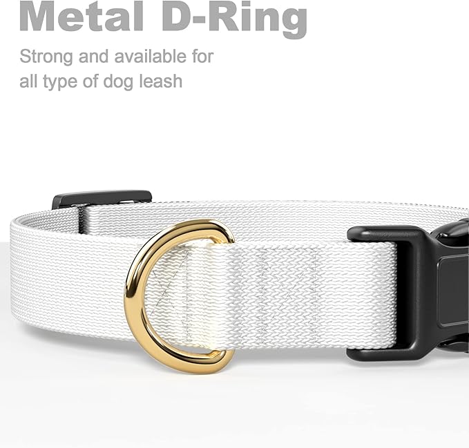 Rnivvi Dog Collar for Small Dogs, Classic Heavy Duty Adjustable Puppy Collar with Quick Release Buckle for Boy Girl & Female,Pet Accessories for Walking Running Training, S Length 3/4" Width, White