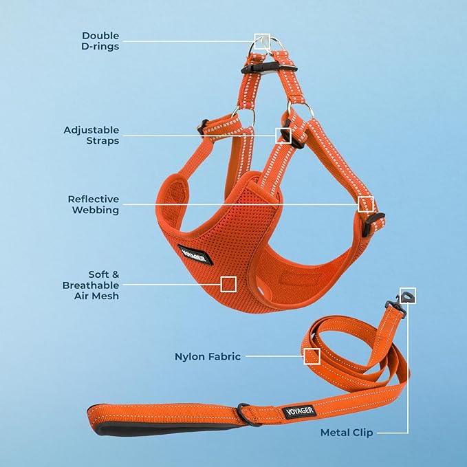 Best Pet Supplies Voyager Adjustable Step-in Flex Breathable Mesh Dog Harness for Small Medium Large Dogs Leash Set (Orange), XL