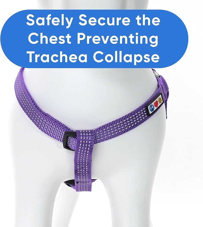 Pawtitas Reflective Step-in Dog Harness – Adjustable No-Pull Vest for Puppies to Seniors, Safe & Comfortable, L Purple