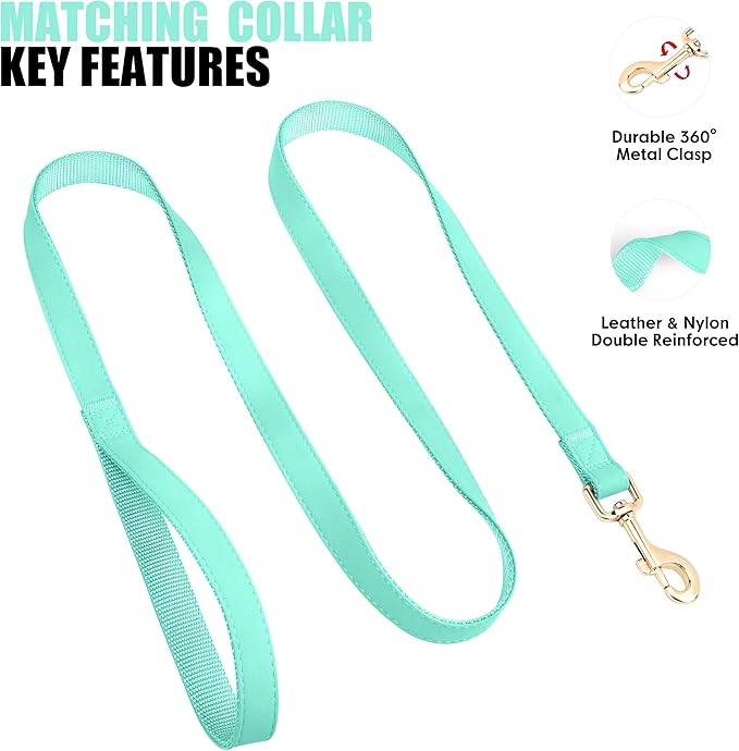 PET ARTIST Soft PU Leather Dog Collar and Leash Set, Bright & Stylish 5FT PU Leather Leash and Collar Set, Durable Pet Collars with Quick Release Metal Buckle for Small Dogs,Mint Green,S(9"-14")
