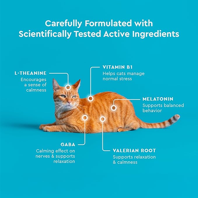 VetIQ Cat Calming Treats with Melatonin for Stress Relief, Organic Ashwagandha, and GABA Chicken Flavored Chews, 3.7oz