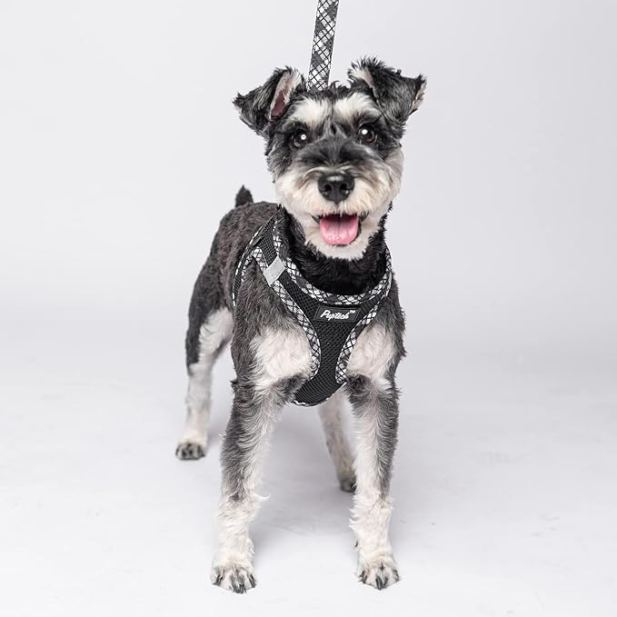 PUPTECK Dog Harness and Leash Set for Small Medium Dogs No Pull Step-in Soft Mesh Puppy Cat Vest Harnesses Reflective at Night, Black XS