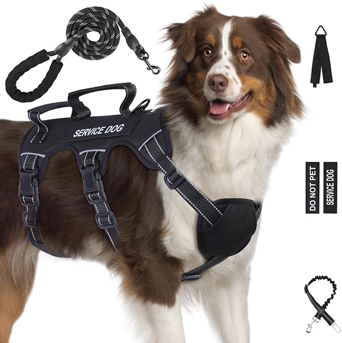Escape Proof Dog Harness for Large Medium Sized Dogs Six Point Adjustable, Service Dog Vest Harness and Leash Set, No Pull Dogs Harnesses with Handle, XL Dog Harnesses for Walking(Black, XL)