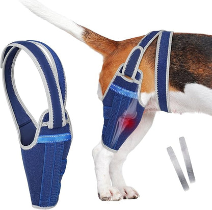 Dog Knee Brace for Torn ACL Hind Leg–Adjustable Support Dog Leg Brace for Back Leg with 2 Stabilizers, Hip Support to Reduces Pain Luxating Patella, Ligament Injuries, CCL (Blue, Left Leg, S)