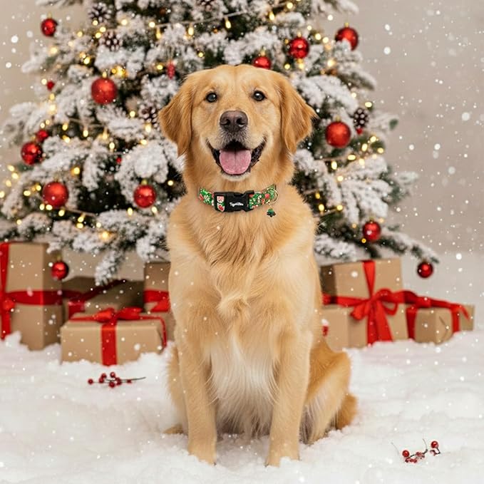 Christmas Dog Collar for Extra Small Dogs, Adjustable Green Small Dog Collars with Gingerbread Man Pattern, Cute Dog Christmas Collar for Dogs, Winter Holiday Dog Collar for Girl Boy Dog-XS