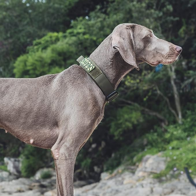 OneTigris Tough Dog Collars, Tactical Dog Collar with Handle, Milltary Adjustable Dog Collar with Heavy Duty Metal Buckle for Training (Green, S)