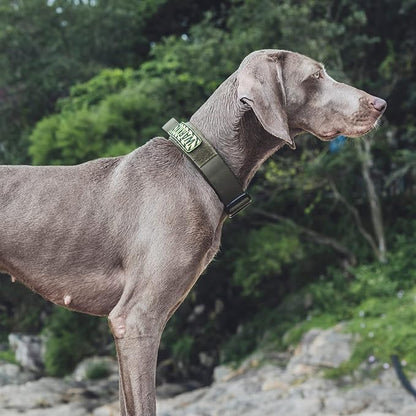 OneTigris Tough Dog Collars, Tactical Dog Collar with Handle, Milltary Adjustable Dog Collar with Heavy Duty Metal Buckle for Training (Green, S)