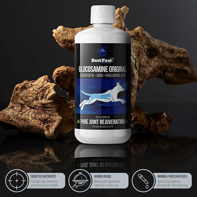 Best Paw Nutrition Liquid Glucosamine Chondroitin for Dogs - Hip Dysplasia & Joint Pain Relief - Canine Health Food Supplement - Natural Pet Vitamins with MSM for Dog Mobility Support - 32oz