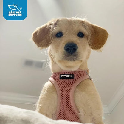 Best Pet Supplies Voyager Step-in Air Harness - All Weather Mesh, Reflective, No Pull Harness for Dogs, Cats - Secure with Hook & Loop Fastener, Buckle, Double D-Rings - Pink, S