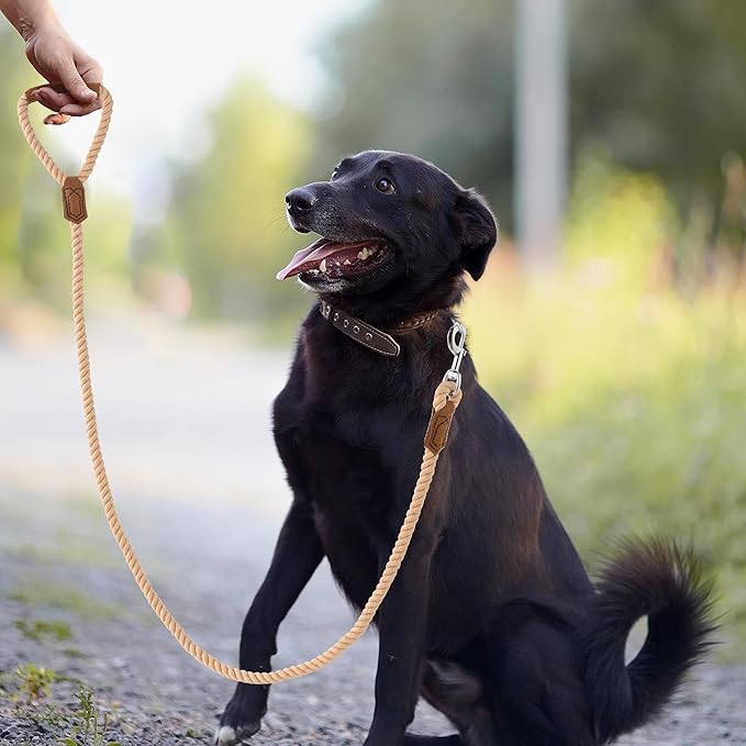 Mile High Life Dog Leash, Braided Cotton Rope Leashes with Leather Handle - Heavy Duty Metal Clasp, 4FT, 1/2" Thick - Wedding, Walking & Training Leash for Small Medium Large Dogs (Light Brown)