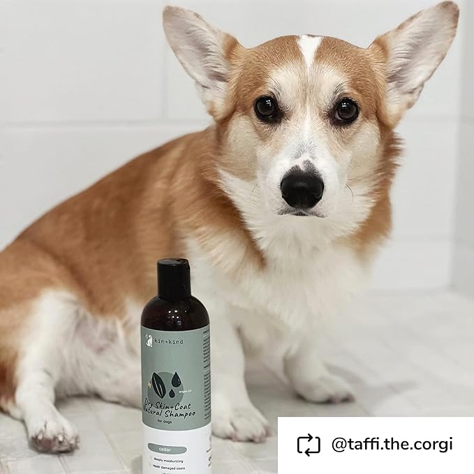 kin+kind Organic Dog Shampoo Itchy Skin Relief – Natural Dog Shampoo for Dry, Sensitive Skin – Moisturizing Formula with Coconut Oil, Olive Oil & Cedarwood – Grooming Supplies – Made in USA 12 fl oz