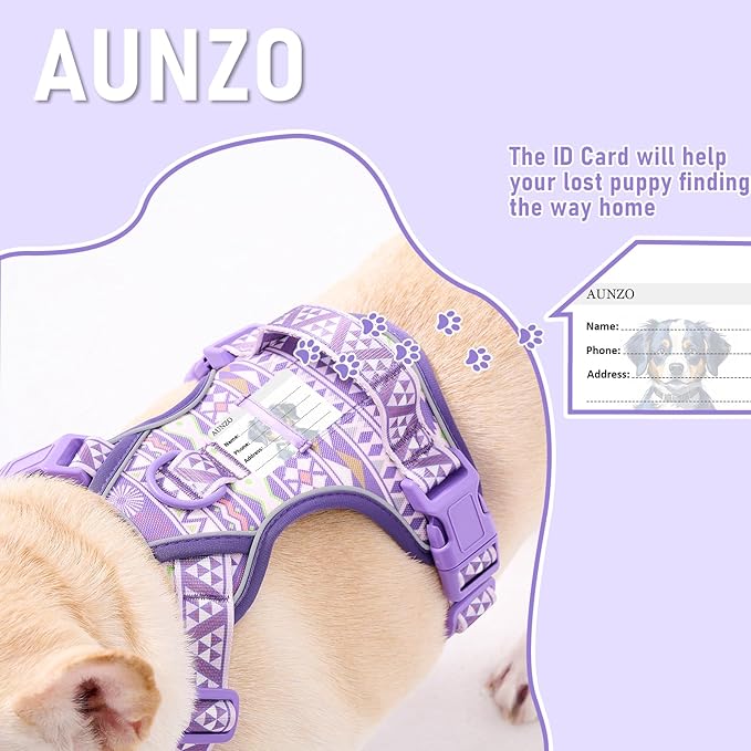 Dog Harness for X-Small Dog Breed, Light Pet Vest Harness with 2 Leash Clips and 3 Buckles, Easy to Wear, Adjustable Reflective Soft Padded, Boston Terrier, Poodles, XS