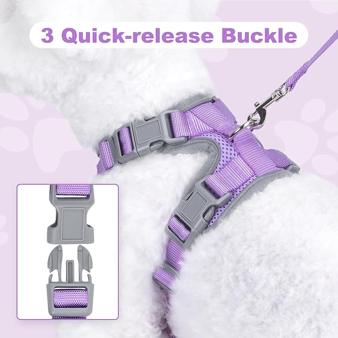 Small Dog Harness and Leash Set，No Pull Adjustable Pet Harness for Small Dogs ，Breathable Mesh Reflective Dog Vest Harness (Light Purple, M)