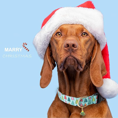 Faygarsle Green Dog Collar with Charm Design Christmas Theme Pattern for Small, Medium, Large Dogs - Cute, Stylish Collar for Girl, Boy Dogs - XS