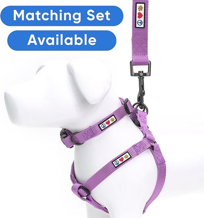 Pawtitas Personalized 6 ft Orchid Dog Leash XXS/Cat Custom Name and Phone Embroidery Strong Nylon Leash for Small Breeds