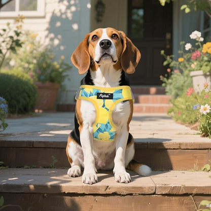 PUPTECK Dog Harness and Leash Set for Small Medium Dogs No Pull Step-in Soft Mesh Puppy Cat Vest Harnesses Reflective at Night, Yellow Lemon, M