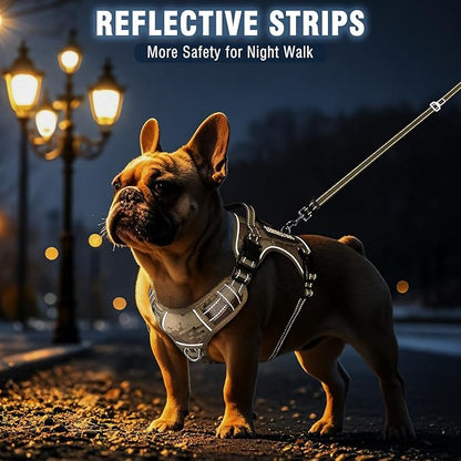 MOOGROU Tactical Dog Harness and Leash Set Medium Sized Dog,Heavy Duty No Pull Service Dog Vest and 10 Patches with Dog Seat Belt,Reflective Adjustable Pet Harness for Training Walking Hiking Camo M