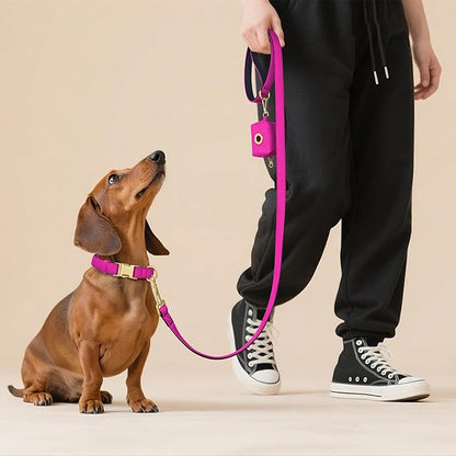 Didog 5FT Colorful Nylon Dog Leash with Soft Full-Length Padding, Lightweight and Durable Pet Leash for Small Dogs, Rose Purple, S