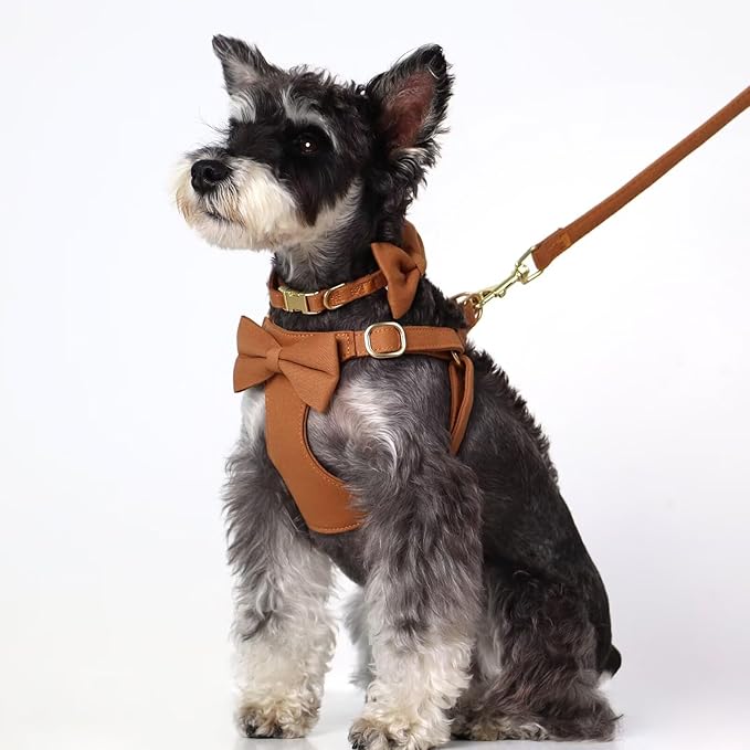 Beirui Adorable Small Dog Harness Collar and Leash Set,Cute Puppy Harness Set with 3 Bows for Small Dogs,Shih Tzu,Dachshund,Adjustable Step-in Vest for Daily Walking,Parties&Holiday Outfits(Brown,S)
