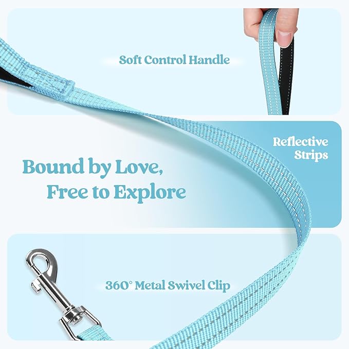 rabbitgoo Dog Harness Small Sized and Leash Set, Step in Soft Light Puppy Vest, Breathable Mesh Pet Harness, Reflective for Safe Easy Walking, Mint Blue M