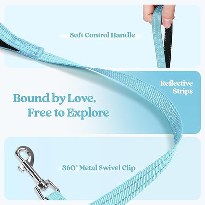 rabbitgoo Dog Harness Small Sized and Leash Set, Step in Soft Light Puppy Vest, Breathable Mesh Pet Harness, Reflective for Safe Easy Walking, Mint Blue S