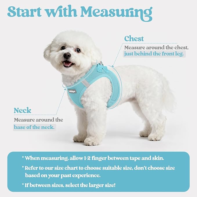 rabbitgoo Dog Harness Small Sized and Leash Set, Step in Soft Light Puppy Vest, Breathable Mesh Pet Harness, Reflective for Safe Easy Walking, Mint Blue M