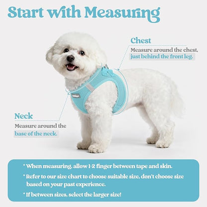 rabbitgoo Dog Harness Small Sized and Leash Set, Step in Soft Light Puppy Vest, Breathable Mesh Pet Harness, Reflective for Safe Easy Walking, Mint Blue XXS