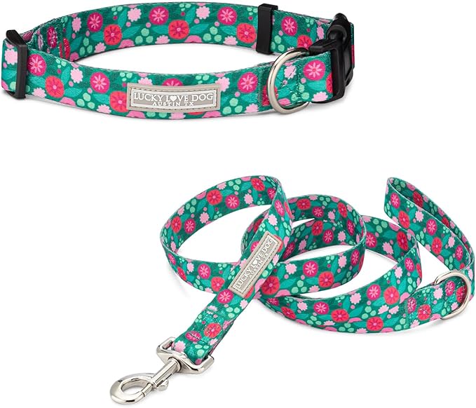 Lucky Love Dog - Adjustable Dog Collar and Leash Set with Easy Click Buckle for Small Dogs, Durable, & Comfortable Collar for Male & Female Dogs, Puppies & Adult Ones - Penny Combo, XS