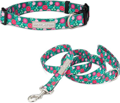 Lucky Love Dog - Adjustable Dog Collar and Leash Set with Easy Click Buckle for Small Dogs, Durable, & Comfortable Collar for Male & Female Dogs, Puppies & Adult Ones - Penny Combo, XS