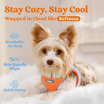 rabbitgoo Small Dog Harness, Step-in Soft Mesh Puppy Vest with Safety Buckle, Breathable Reflective Pet Harness for Small Medium Dogs, Blue & Orange XL