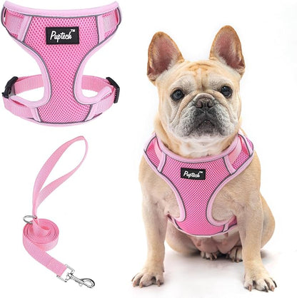 PUPTECK Small Dog Harness and Leash Set, No Pull Adjustable Puppy Cat Harness, Reflective Soft Mesh Pet Vest Small Sized, Pink, L