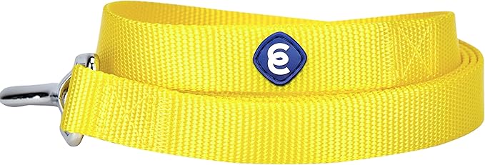 Blueberry Pet Essentials Blazing Yellow Dog Leash for Large - 4' * 1" Dogs | Heavy Duty Nylon Lead | Lightweight Puppy & Cat Leash for Walking & Training